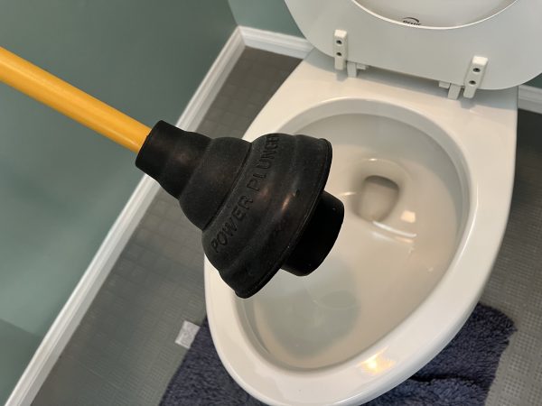 flanged toilet plunger